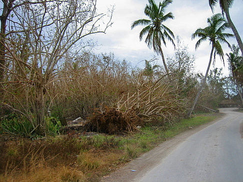 Foto Straßenrand