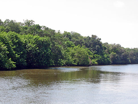 Collier Boulevard Boating Park