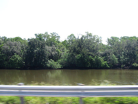 Straßenrand auf Marco Island Fotos