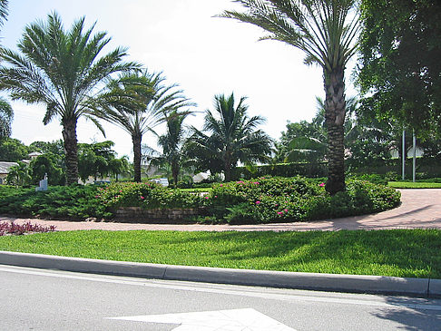 Foto Straßenrand auf Marco Island