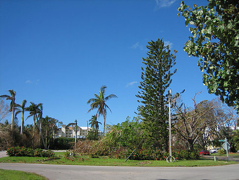 Foto Straßenrand