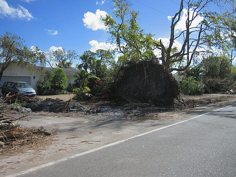 Foto Straßenrand