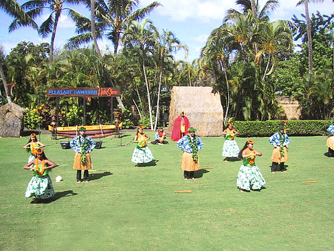 Hula Show