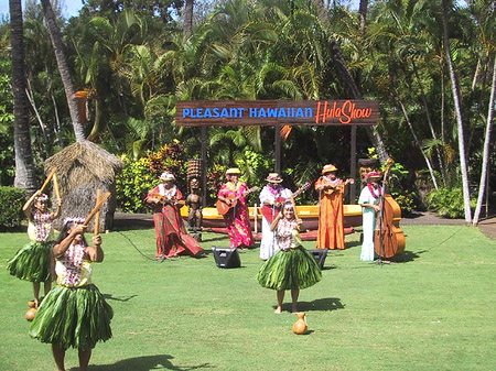 Hula Show Fotos