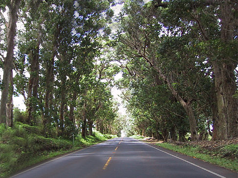 Foto Straßen auf Kauai