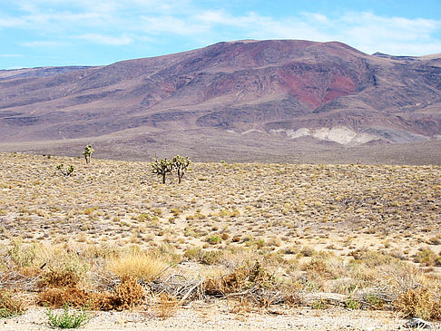 Foto Lone Pine - Panamint Springs