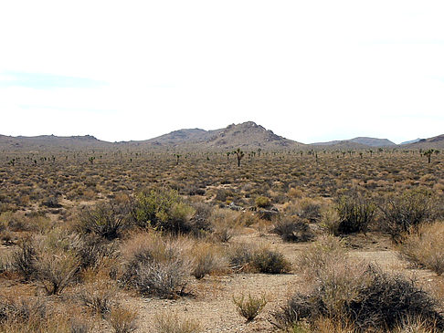 Fotos Lone Pine - Panamint Springs | 