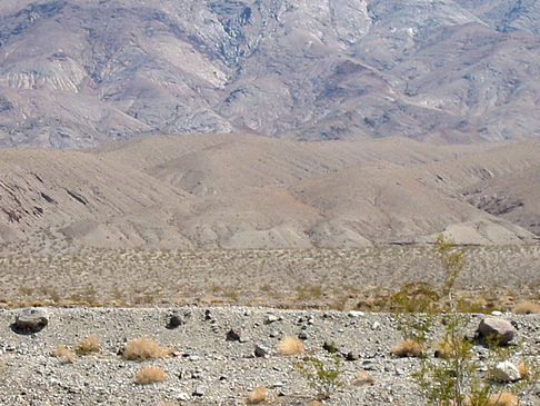 Panamint Springs - Stovepipe Wells