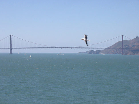 Golden Gate Bridge Fotos