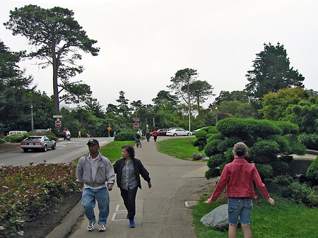 Fotos Golden Gate Park mit Botanischen Garten