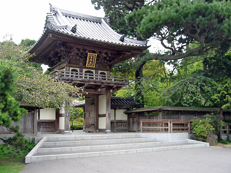 Golden Gate Park mit Botanischen Garten Fotos