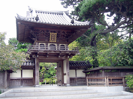 Golden Gate Park mit Botanischen Garten