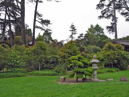 Golden Gate Park mit Botanischen Garten