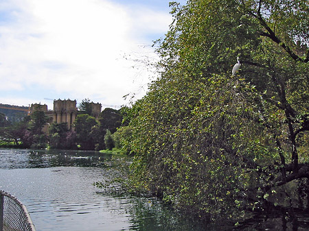 Palace of Fine Arts Foto 