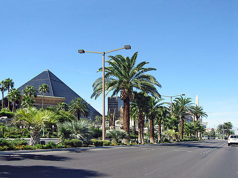 Fotos Las Vegas aus dem Auto | Las Vegas