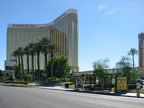 Foto Hotel Mandalay Bay - Las Vegas